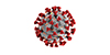 Aufnahme vom Coronavirus